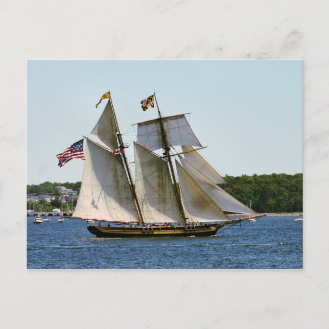 Carte Postale Grand voilier Pride of Baltimore II (Devant)