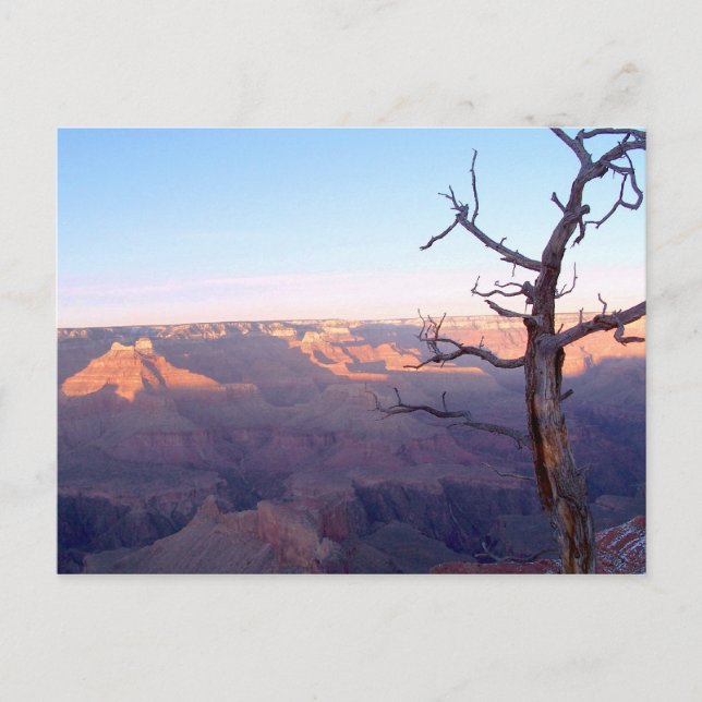 Carte postale GrandCanyon-View#1 (Devant)