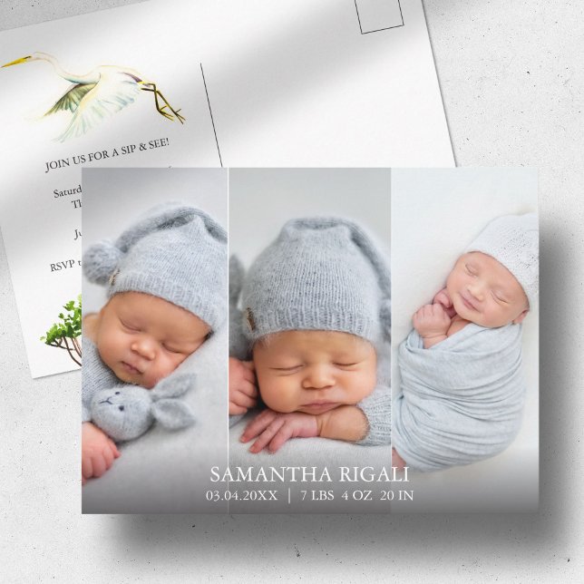 Carte Postale Grande Aigrette 3 Photo Faire-part de naissance (Birth announcements cards 3 photo and watercolor white heron and mangroves Victoria Grigaliunas)