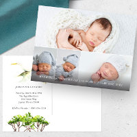 Grande Aigrette 4 Photo Faire-part de naissance