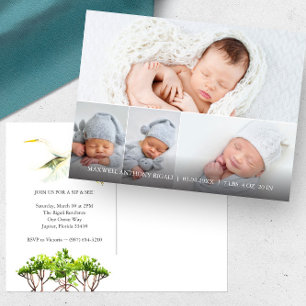 Carte Postale Grande Aigrette 4 Photo Faire-part de naissance