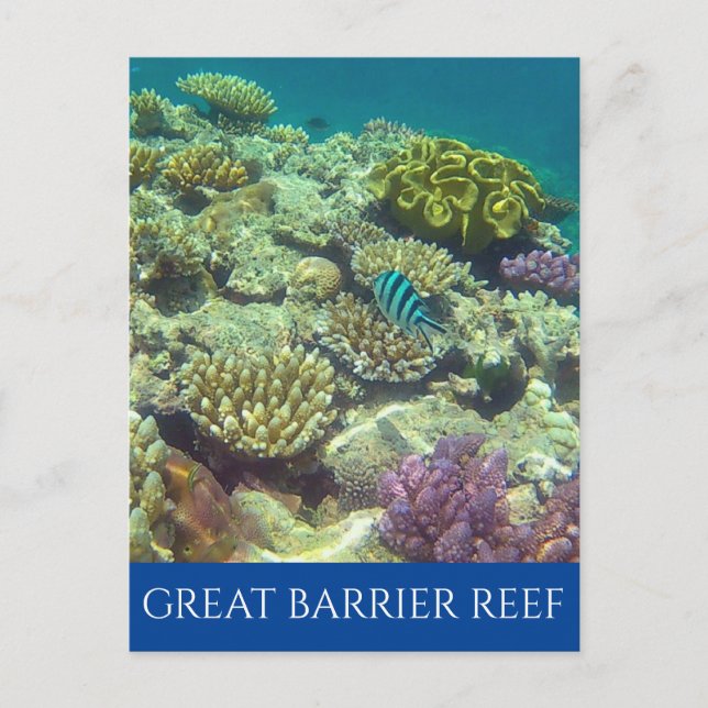 Carte Postale grande barrière récif australie (Devant)