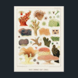 Carte Postale Grande barrière vintage de corail d'Australie<br><div class="desc">Coraux de la Grande barrière de corail de la Grande barrière de corail d'Australie (1893) par William Saville-Kent (1845-1908).</div>