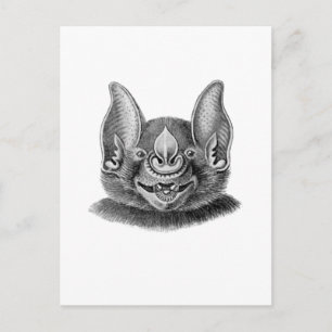 Carte Postale Grande chauve-souris à nez large