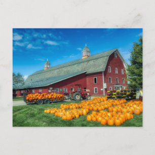 Carte Postale Grande grange rouge du Vermont avec citrouilles