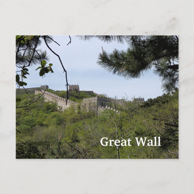 Carte Postale Grande Muraille - Vue verte (Devant)