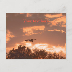 Carte Postale Grande silhouette de héron bleu en vol au coucher 