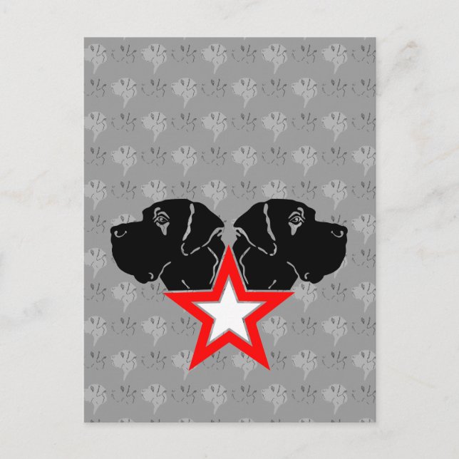 Carte Postale Grande tête de Danois étoile (Devant)