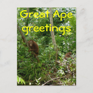 Carte Postale Grands amis Ape