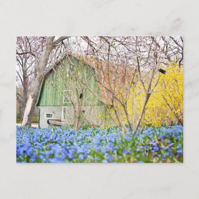 Carte Postale Grange d'automne avec champ de fleurs bleues (Devant)