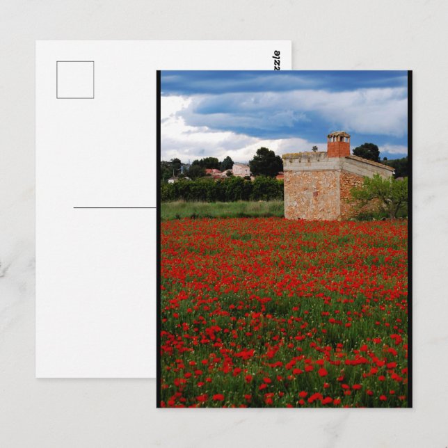 Carte Postale Grange de campagne dans un portrait de champ de co (Devant / Derrière)