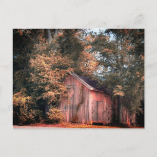 Carte Postale Grange en bois patiné dans la lumière d'automne