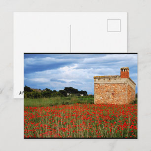 Carte Postale Grange rurale dans un champ de pavots floraux