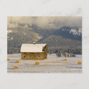 Carte Postale Grange rustique et balles de foin après une neige
