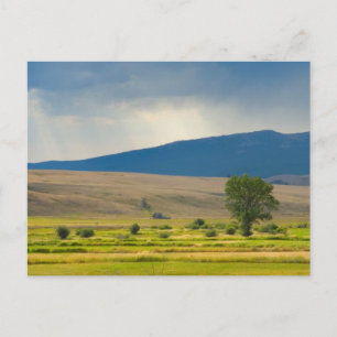 Carte Postale Granite County Montana