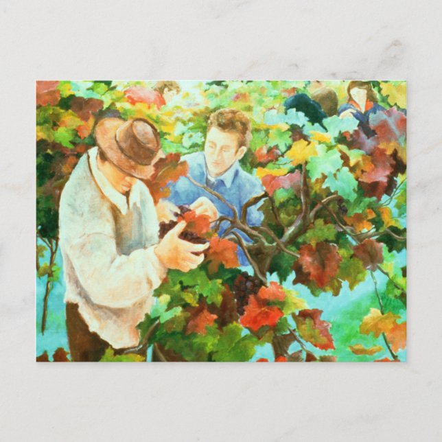 Carte Postale Grape Pickers 1996 (Devant)
