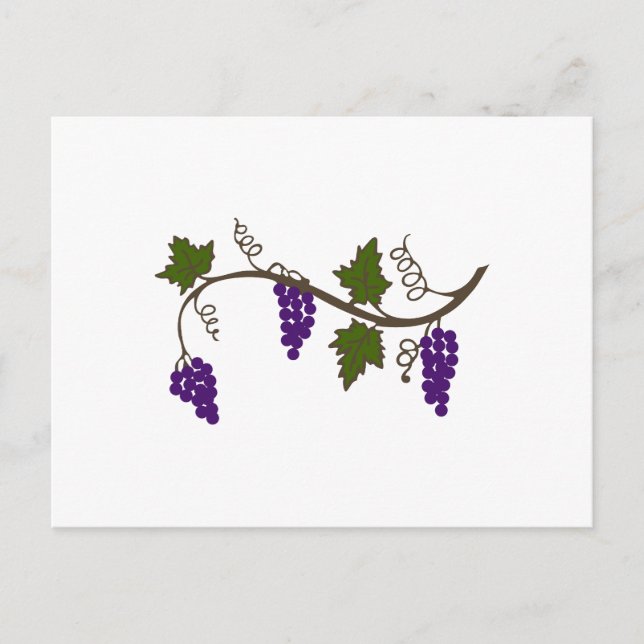 CARTE POSTALE GRAPEVINE (Devant)