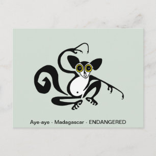 Carte Postale Graphique cool - AYE-AYE-lemur - primate -