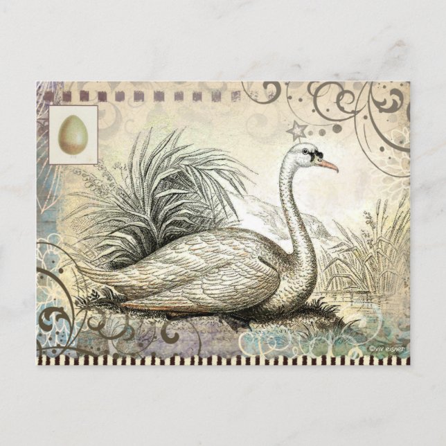 Carte Postale Graphique cygne (Devant)
