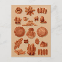 Graphique d'illustrations de boulangeries vintages