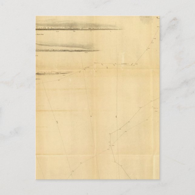 Carte Postale Graphique du continent antarctique (Devant)