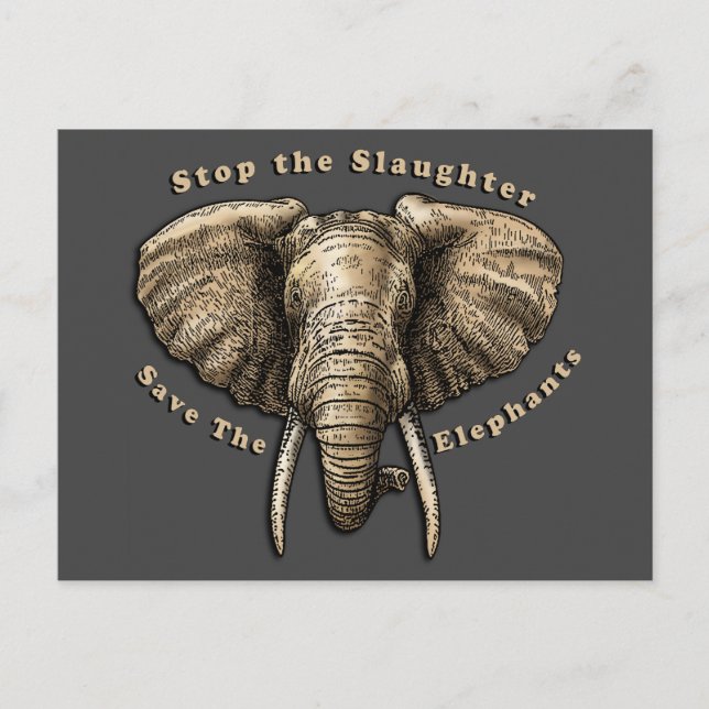 Carte Postale Graphisme Sauver les Éléphants (Devant)