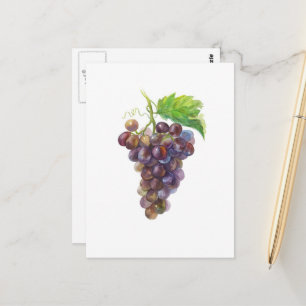 Carte Postale Grappe de raisin pourpre Aquarelle botanique
