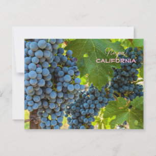 Carte Postale Grappes