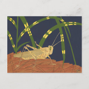 Carte Postale Grasshopper en Grass vert sur Arrière - plan bleu