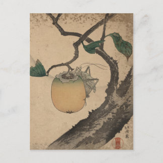Carte Postale Grasshopper mangeur persimmon - Katsushika Hokusai