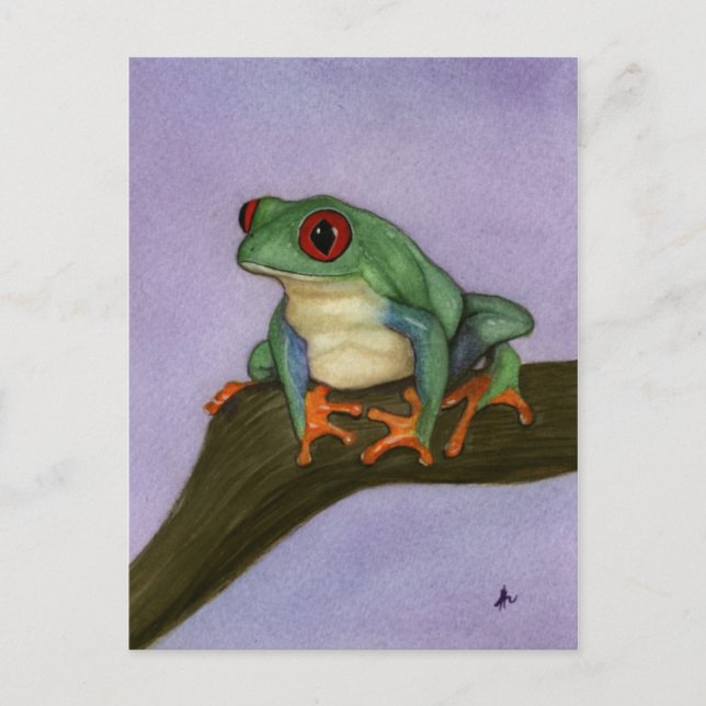 Carte postale Grat Red Eyed Tree Frog (Devant)