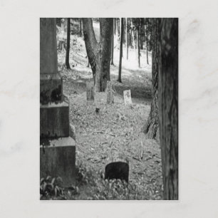Carte Postale Grave oubliée