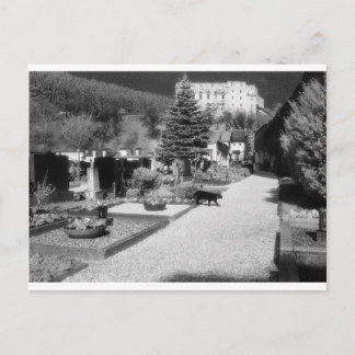 Carte Postale Graveyard allemand avec chat noir à travers.