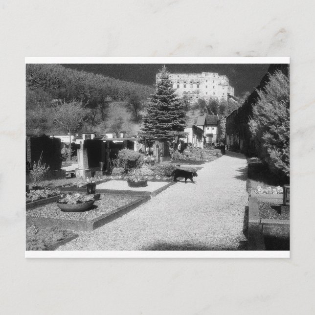 Carte Postale Graveyard allemand avec chat noir à travers. (Devant)