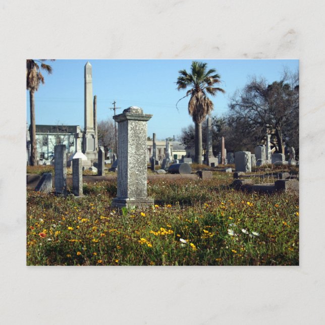 Carte Postale Graveyard de Galveston (Devant)