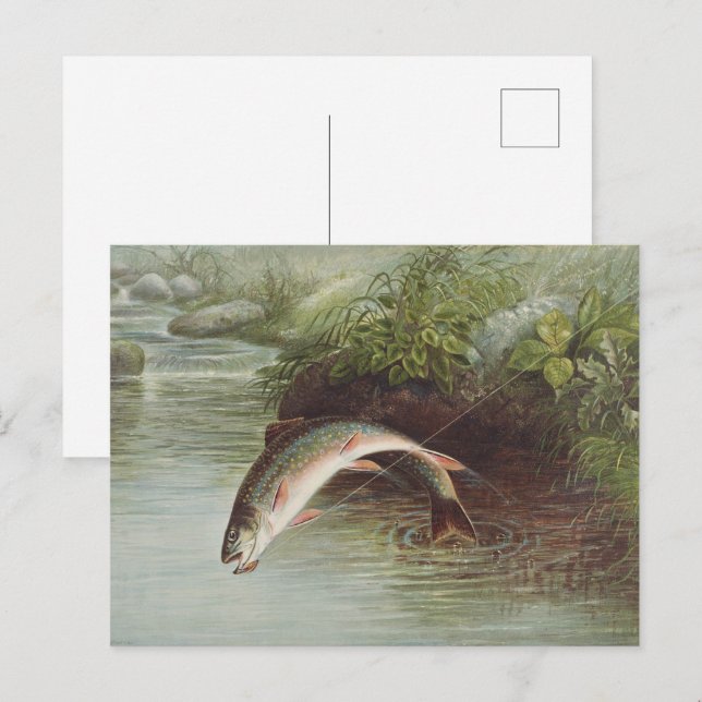 Carte Postale Gravure ancienne de pêche à la mouche : truite de  (Devant / Derrière)
