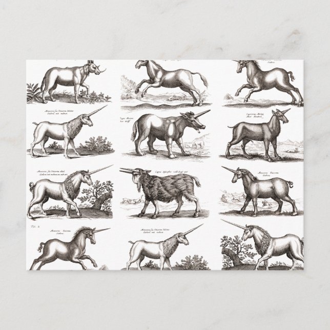 Carte Postale Gravure de licorne antique spécimen de zoologie vi (Devant)