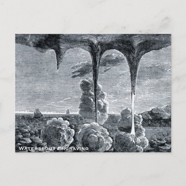 Carte Postale Gravure de naissain (Devant)