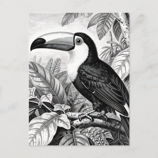 Carte Postale Gravure de Toucan dans le Feuillage de la Jungle (Devant)