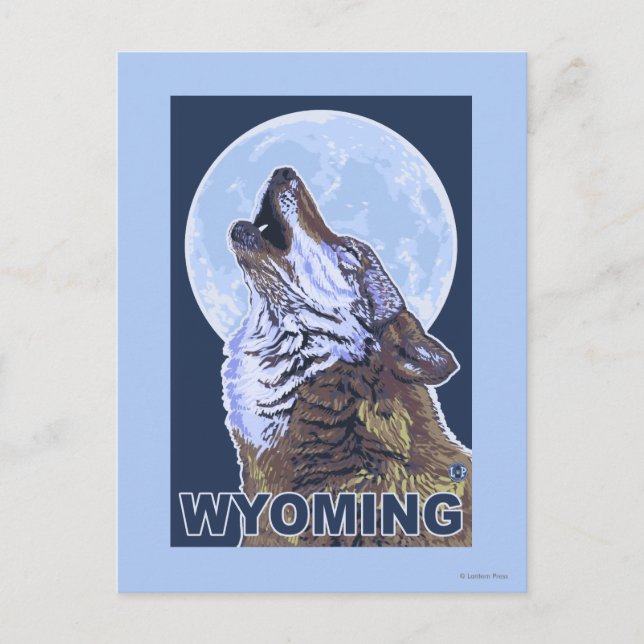 Carte Postale Gray Wolf HowlingWyoming (Devant)