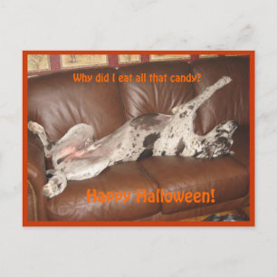Carte Postale Great Dane Ate Too Much Halloween