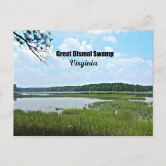 Carte Postale Great Dismal Swamp - Virginie