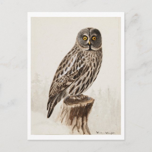 Carte postale Great Grey Owl (Devant)