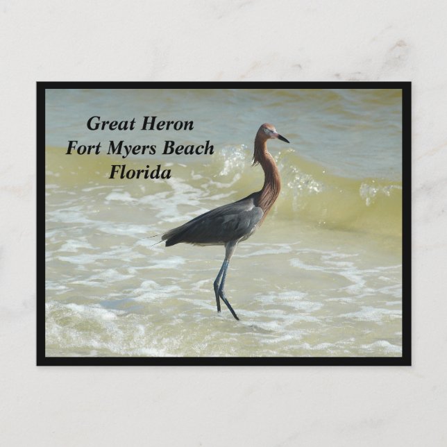 Carte postale Great Heron Holiday (Devant)