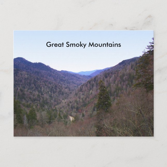 Carte Postale Great Smoky Mountains (Devant)