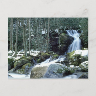 Carte Postale Great Smoky Mountains, CN