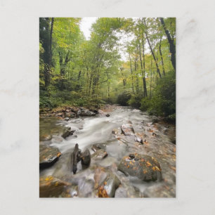 Carte Postale Great Smoky Mountains National Park, Tennessee