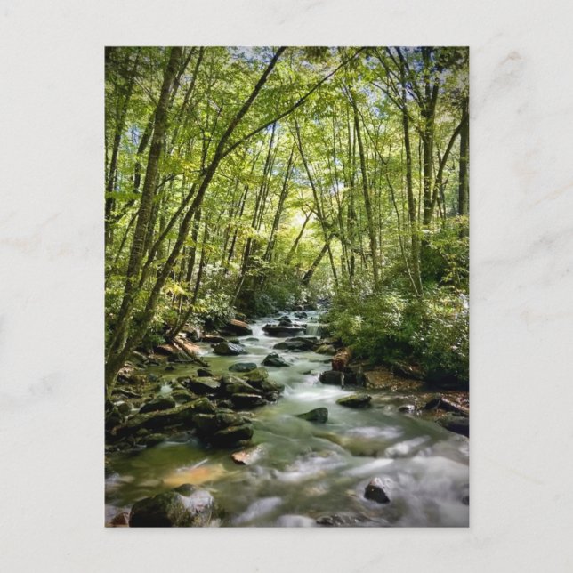 Carte Postale Great Smoky Mountains National Park, Tennessee (Devant)