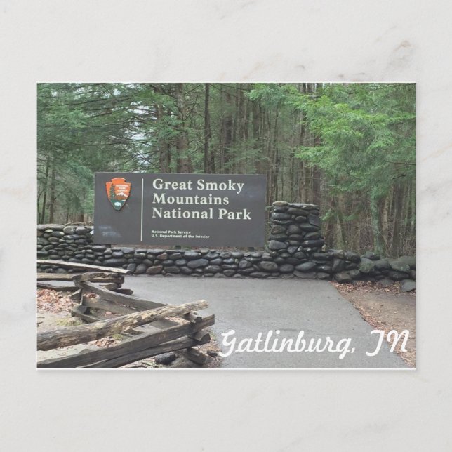 Carte Postale Great Smoky Mountains Postcard (Devant)