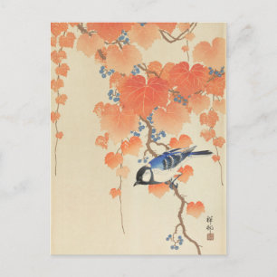 Carte Postale Great Tit sur Paulownia Branch par Ohara Koson
